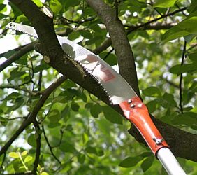 Pole + Pruning Saws